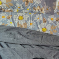 Daisy Daydream