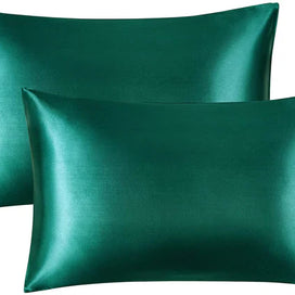 Shamoz Silk Pillow Case - Pair - Light Green